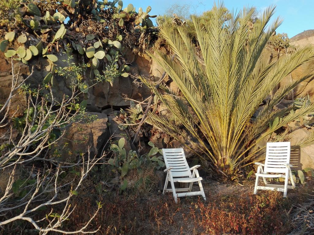 Finca Patio Canario 아로나 외부 사진